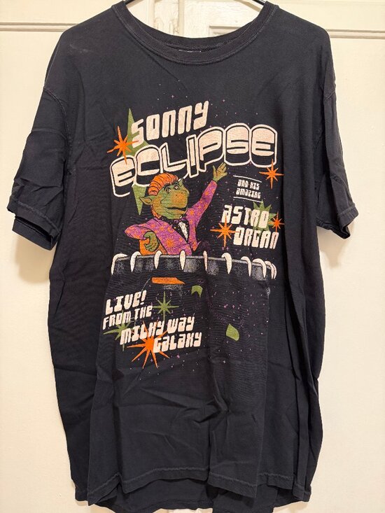 Tultex Other - Sonny Eclipse Magic Kingdom WDW Tee Lost Bros Size L